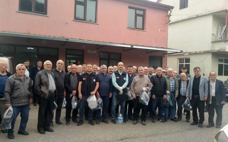 Giresun'da Kahverengi Kokarca Alarmı: Kışlak Mücadelesi İçin Ekipler Seferber Oldu