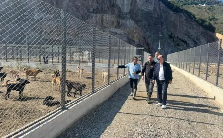 Giresun Valisi Mehmet Fatih Serdengeçti: "Huzur ve Şefkat..."