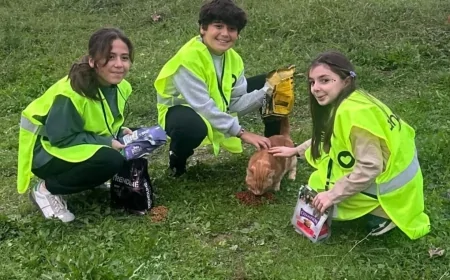 Giresun'da Patili Dostlar Unutulmadı: Ahbap Gönüllüleri Mama Dağıttı