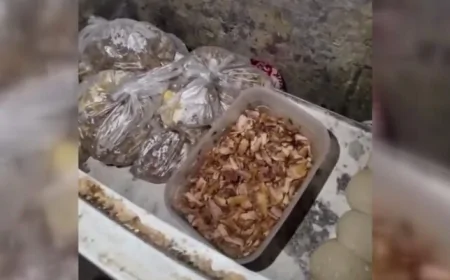 Devrek’te Pide İmalathanesi Mühürlendi: Sağlıksız Koşullar Şok Etti