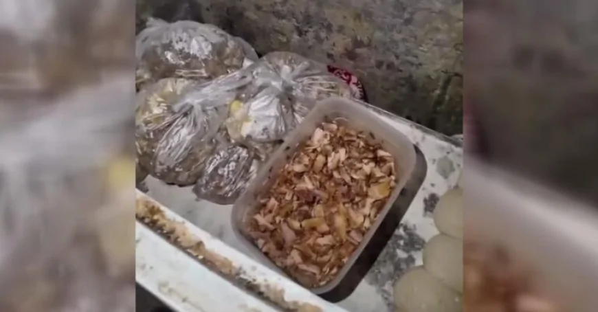 Devrek’te Pide İmalathanesi Mühürlendi: Sağlıksız Koşullar Şok Etti